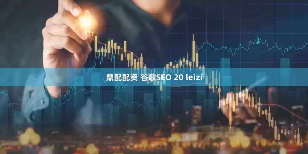 鼎配配资 谷歌SEO 20 leizi